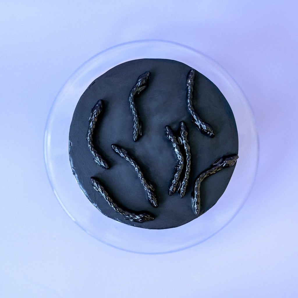 Black snake cake 